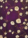  Ruth Osthoff 5-11